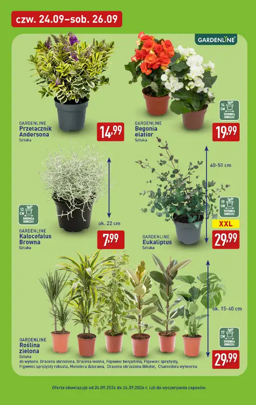 Aldi - gazetka promocyjna Pełny katalog! od poniedziałku 21.09 do soboty 26.09 - strona 39