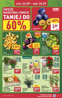 Aldi - gazetka promocyjna Pełny katalog! od poniedziałku 21.09 do soboty 26.09 - strona 37