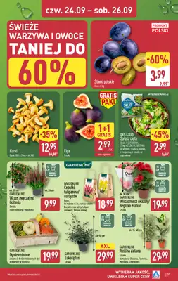 Aldi - gazetka promocyjna Pełny katalog! od poniedziałku 21.09 do soboty 26.09 - strona 37