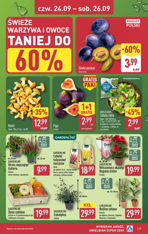 Aldi - gazetka promocyjna Pełny katalog! od poniedziałku 21.09 do soboty 26.09 - strona 37
