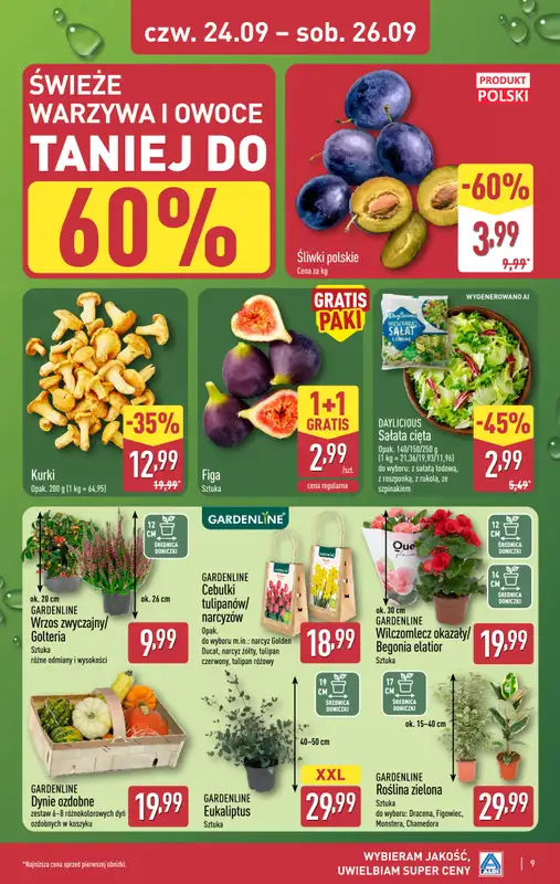 Aldi - gazetka promocyjna Weekend super cen w Aldi! od czwartku 24.09 do soboty 26.09 - strona 9