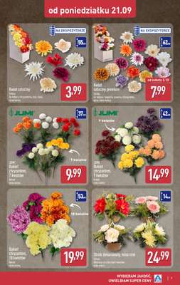 Aldi - gazetka promocyjna Światełko pamięci od poniedziałku 21.09 do soboty 26.09 - strona 7