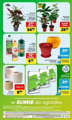 Carrefour - gazetka promocyjna Gazetka Same okazje od poniedziałku 21.09 do soboty 03.10 - strona 13