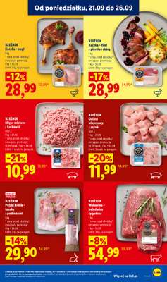 Lidl - gazetka promocyjna Oferta od poniedziałku od poniedziałku 21.09 do środy 23.09 - strona 61