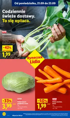 Lidl - gazetka promocyjna Oferta od poniedziałku od poniedziałku 21.09 do środy 23.09 - strona 34