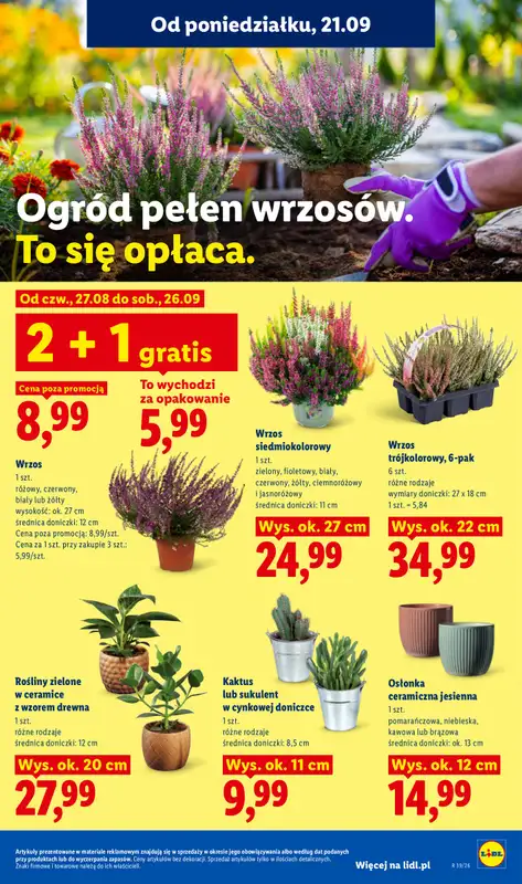 Lidl - gazetka promocyjna Oferta od poniedziałku od poniedziałku 21.09 do środy 23.09 - strona 91
