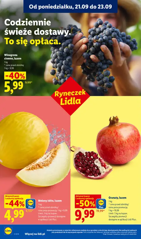 Lidl - gazetka promocyjna Oferta od poniedziałku od poniedziałku 21.09 do środy 23.09 - strona 36