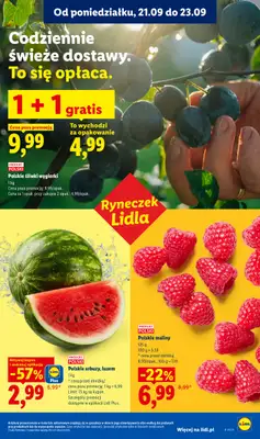 Lidl - gazetka promocyjna Oferta od poniedziałku od poniedziałku 21.09 do środy 23.09 - strona 33