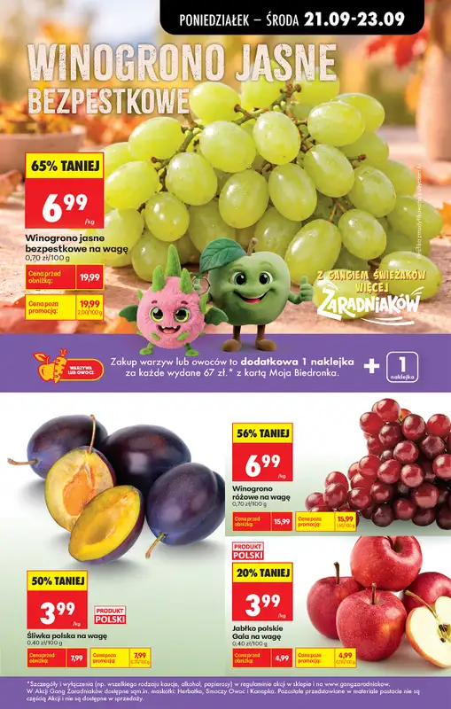 Biedronka - gazetka promocyjna Od poniedziałku od poniedziałku 21.09 do soboty 26.09 - strona 37
