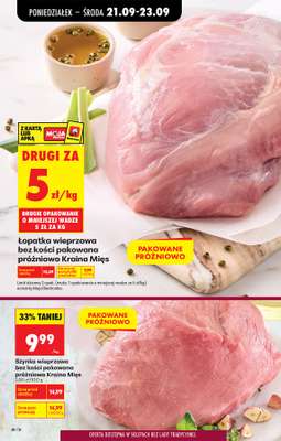 Biedronka - gazetka promocyjna Od poniedziałku od poniedziałku 21.09 do soboty 26.09 - strona 40