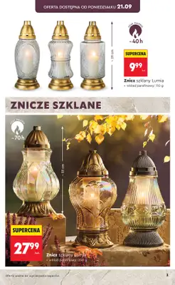 Biedronka - gazetka promocyjna Znicze, wkłady i kwiaty od poniedziałku 21.09  - strona 3