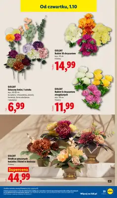 Lidl - gazetka promocyjna Katalog od poniedziałku 28.09 do soboty 03.10 - strona 47