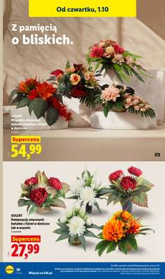 Lidl - gazetka promocyjna Katalog od poniedziałku 28.09 do soboty 03.10 - strona 46