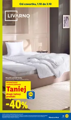 Lidl - gazetka promocyjna Katalog od poniedziałku 28.09 do soboty 03.10 - strona 31