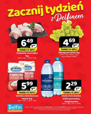 Delfin - gazetka promocyjna Zacznij tydzień z Delfinem od poniedziałku 21.09 do środy 23.09