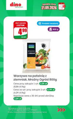 Dino - gazetka promocyjna Specjalna oferta na 21.09.2026 - promocje spoza gazetki od poniedziałku 21.09 do poniedziałku 21.09 - strona 4
