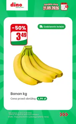 Dino - gazetka promocyjna Specjalna oferta na 21.09.2026 - promocje spoza gazetki od poniedziałku 21.09 do poniedziałku 21.09 - strona 3