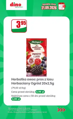 Dino - gazetka promocyjna Specjalna oferta na 21.09.2026 - promocje spoza gazetki od poniedziałku 21.09 do poniedziałku 21.09 - strona 10