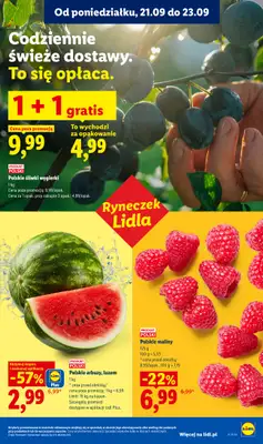 Lidl - gazetka promocyjna Oferta od poniedziałku od poniedziałku 21.09 do środy 23.09 - strona 33