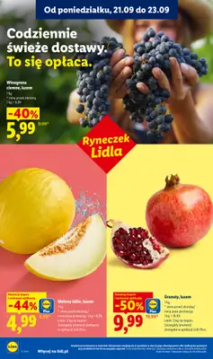 Lidl - gazetka promocyjna Oferta od poniedziałku od poniedziałku 21.09 do środy 23.09 - strona 36