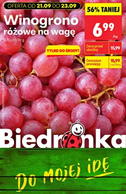 Biedronka - gazetka promocyjna Biedronkowe oszczędności od poniedziałku od poniedziałku 21.09 do soboty 26.09 - strona 10