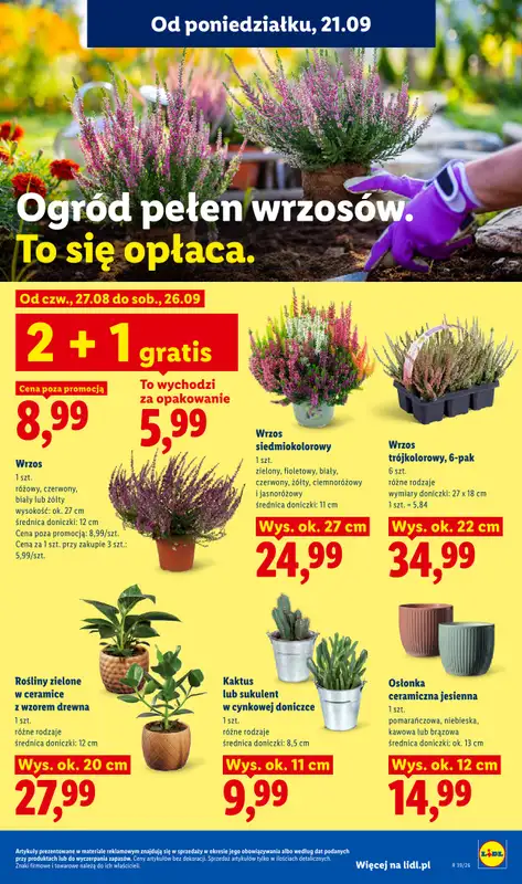 Lidl - gazetka promocyjna Oferta od poniedziałku od poniedziałku 21.09 do środy 23.09 - strona 91