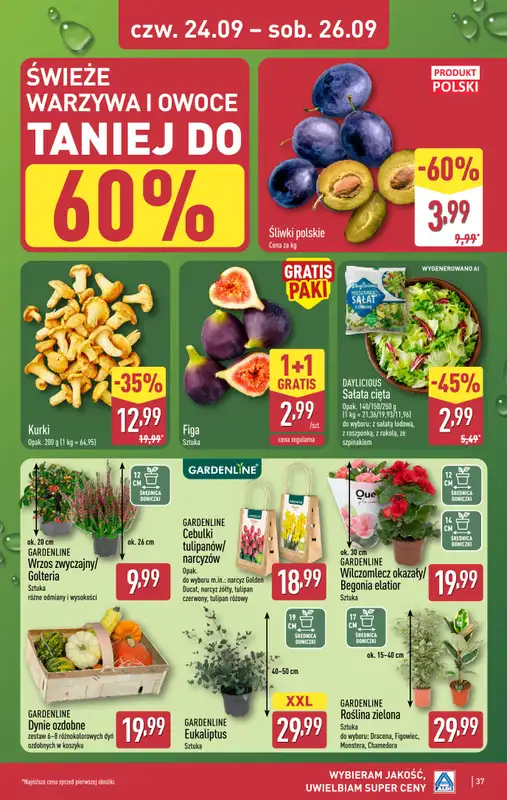 Aldi - gazetka promocyjna Pełny katalog! od poniedziałku 21.09 do soboty 26.09 - strona 37