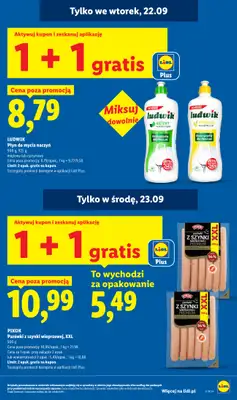 Lidl - gazetka promocyjna Oferta od poniedziałku od poniedziałku 21.09 do środy 23.09 - strona 13