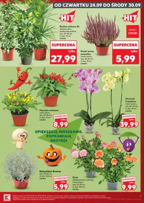 Kaufland - gazetka promocyjna Gazetka Tygodnia od czwartku 24.09 do środy 30.09 - strona 7