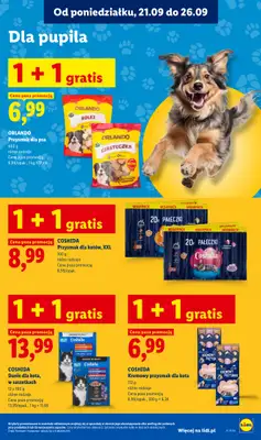Lidl - gazetka promocyjna Oferta od poniedziałku od poniedziałku 21.09 do środy 23.09 - strona 97