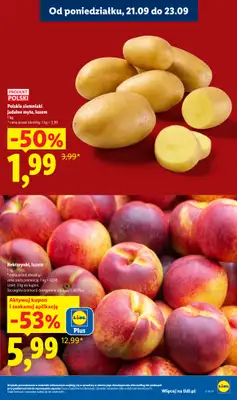 Lidl - gazetka promocyjna Oferta od poniedziałku od poniedziałku 21.09 do środy 23.09 - strona 23