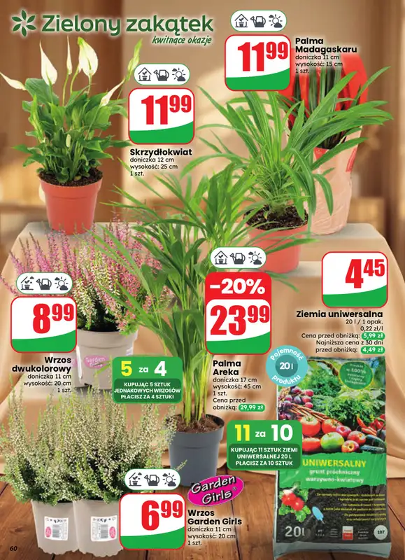 Dino - gazetka promocyjna Gazetka 39 / 2026 od środy 23.09 do wtorku 29.09 - strona 60