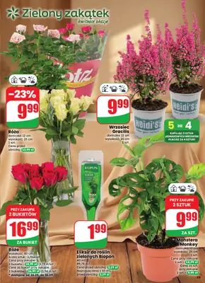 Dino - gazetka promocyjna Gazetka 39 / 2026 od środy 23.09 do wtorku 29.09 - strona 59