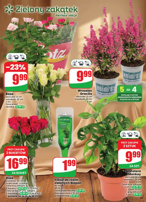 Dino - gazetka promocyjna Gazetka 39 / 2026 od środy 23.09 do wtorku 29.09 - strona 59