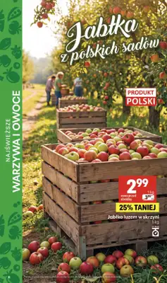 Delikatesy Centrum - gazetka promocyjna Gazetka  do środy 30.09 - strona 8
