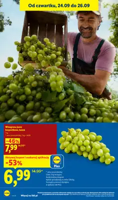 Lidl - gazetka promocyjna Oferta od czwartku od czwartku 24.09 do soboty 26.09 - strona 28