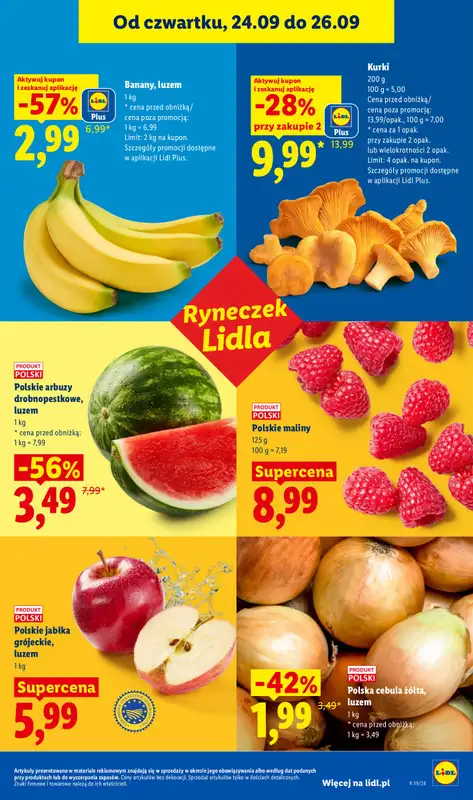 Lidl - gazetka promocyjna Oferta od czwartku od czwartku 24.09 do soboty 26.09 - strona 49
