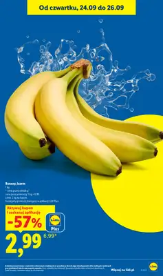 Lidl - gazetka promocyjna Oferta od czwartku od czwartku 24.09 do soboty 26.09 - strona 29