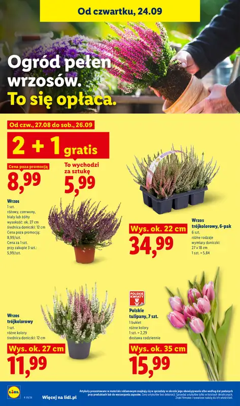 Lidl - gazetka promocyjna Oferta od czwartku od czwartku 24.09 do soboty 26.09 - strona 100