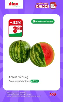 Dino - gazetka promocyjna Specjalna oferta na 23.09.2026 - promocje spoza gazetki od środy 23.09 do środy 23.09 - strona 6