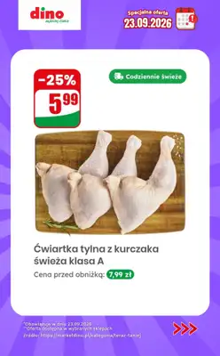 Dino - gazetka promocyjna Specjalna oferta na 23.09.2026 - promocje spoza gazetki od środy 23.09 do środy 23.09 - strona 2