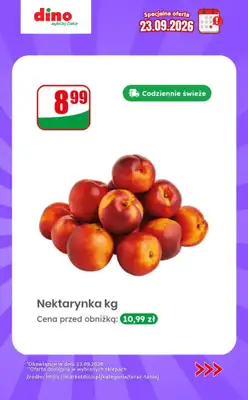 Dino - gazetka promocyjna Specjalna oferta na 23.09.2026 - promocje spoza gazetki od środy 23.09 do środy 23.09 - strona 7