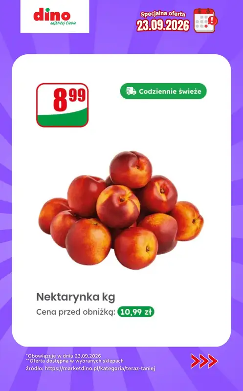 Dino - gazetka promocyjna Specjalna oferta na 23.09.2026 - promocje spoza gazetki od środy 23.09 do środy 23.09 - strona 7