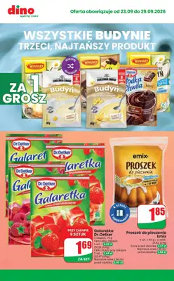 Dino - gazetka promocyjna Najlepsze promocje! od środy 23.09 do wtorku 29.09 - strona 8