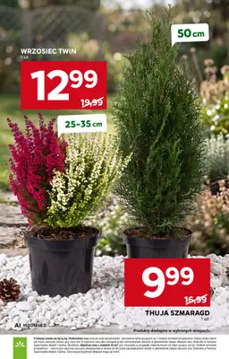 Stokrotka - gazetka promocyjna Gazetka Supermarket od czwartku 24.09 do środy 30.09 - strona 41