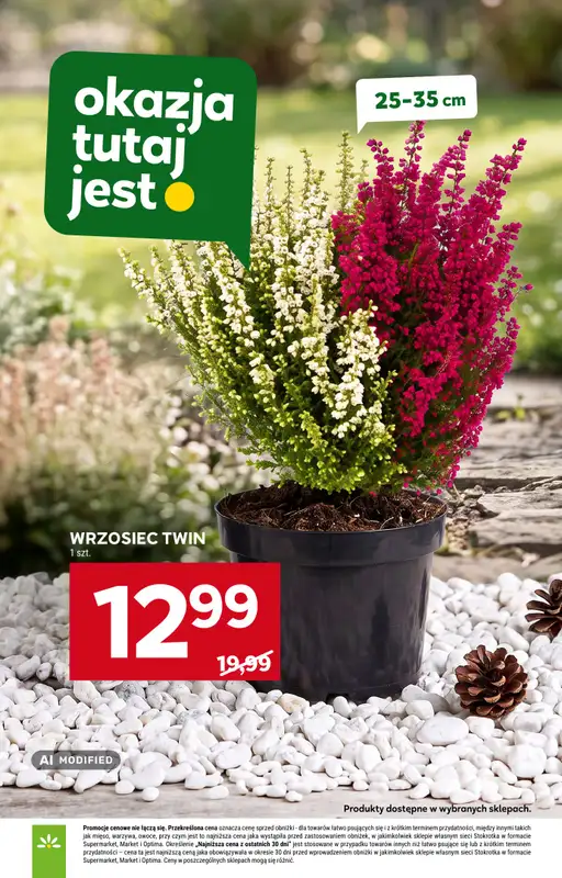 Stokrotka - gazetka promocyjna Gazetka Market od czwartku 24.09 do środy 30.09 - strona 29