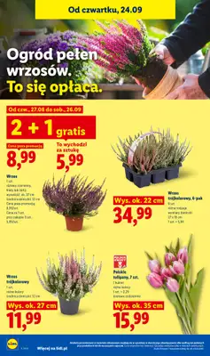 Lidl - gazetka promocyjna Oferta od czwartku od czwartku 24.09 do soboty 26.09 - strona 100