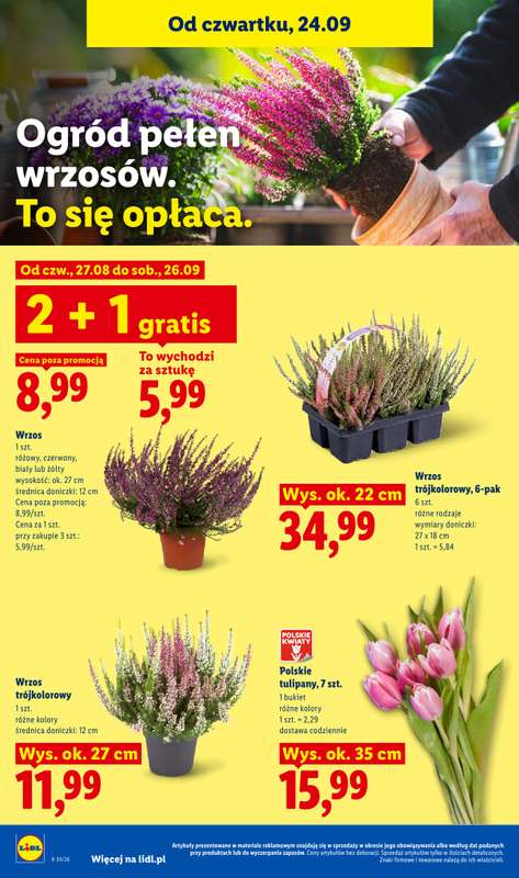 Lidl - gazetka promocyjna Oferta od czwartku od czwartku 24.09 do soboty 26.09 - strona 100