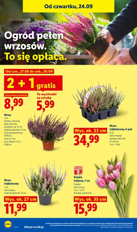 Lidl - gazetka promocyjna Oferta od czwartku od czwartku 24.09 do soboty 26.09 - strona 100