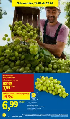 Lidl - gazetka promocyjna Oferta od czwartku od czwartku 24.09 do soboty 26.09 - strona 28